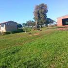 En venta hermosa propiedad rural de 50 hect&aacute;reas sobre ruta 3 canindey&uacute;