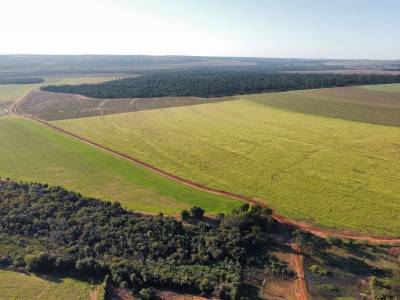 Excelente campo en venta -curuguaty! &ndash; 1.001 hect&aacute;reas productivas ????
