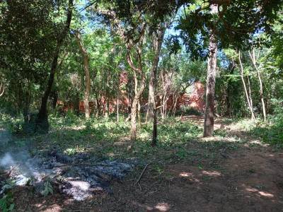 Terreno en luque - tarumandy en venta