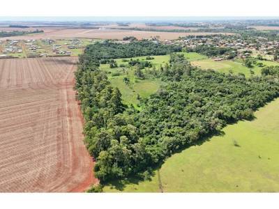 Terreno de 78,9 hect&aacute;reas en santa rita &ndash; alto paran&aacute;