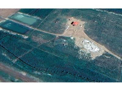 En venta - estancia/campo - san juan nepomuceno, caazap&aacute;, paraguay