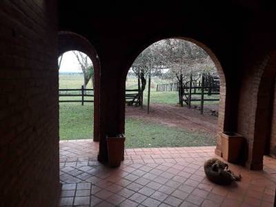 Vendo campo productivo en san pedro del parana