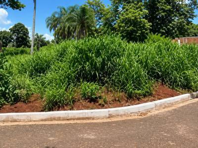 Vendo terreno en salto del guair&aacute; | 441,25 m&sup2; | gs. 80 millones