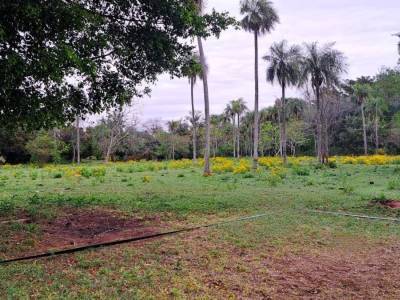 Vendo propiedad con terreno de 1 h&aacute; en caacupe, compa&ntilde;ia ita ivu guasu