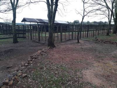 Vendo estancia ganadera en san pedro del paran&aacute; - 80 hect&aacute;reas