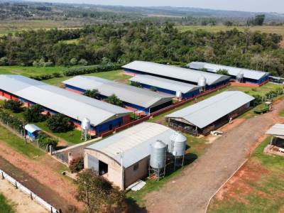 Vendo finca agroindustrial de 50 h. - en coronel oviedo