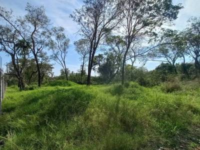 Terreno alto de 424 m2. frente al r&iacute;o paran&aacute;