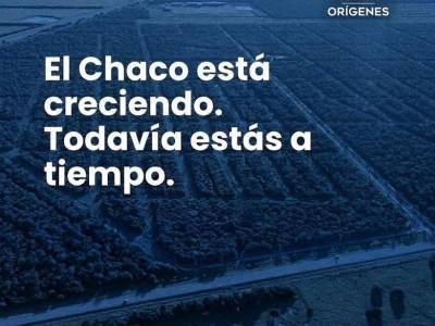 En venta lotes industriales en el cruce desv&iacute;o a filadelfia con transchaco cruce esmeralda boqueron, chaco paraguayo