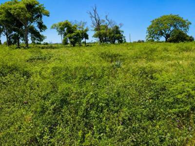 Venta de terreno en jos&eacute; falc&oacute;n, presidente hayes