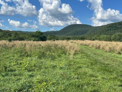 En venta campo de 30 hectareas en cerro vera - pirayu