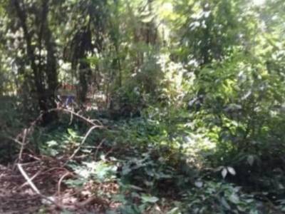 Vendo 4 terrenos en piribebuy